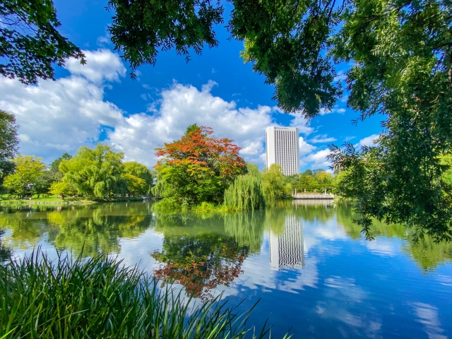 札幌 賃貸 中島公園