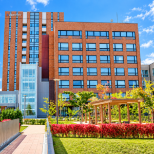 札幌国際大学