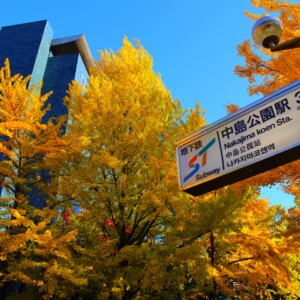 地下鉄南北線　中島公園駅