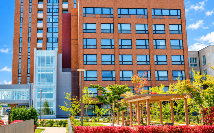 札幌国際大学